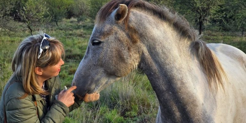 SHEFA Besbosmara Boerdery