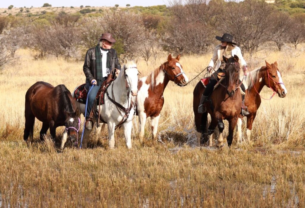 SHEFA Besbosmara Boerdery - Free State