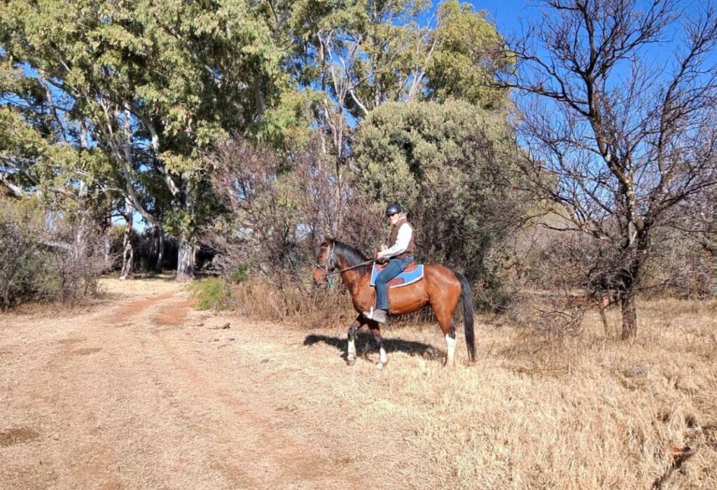SHEFA Besbosmara Boerdery - Free State