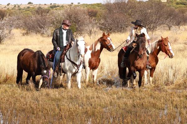 SHEFA Besbosmara Boerdery - Free State