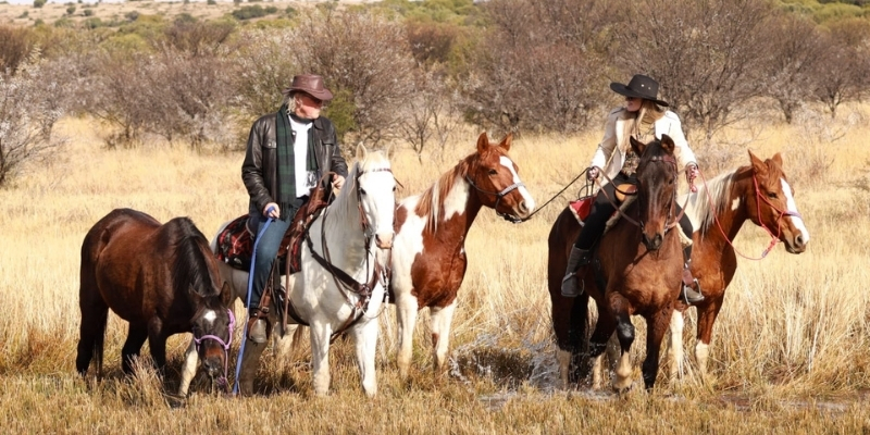 SHEFA Besbosmara Boerdery - Free State